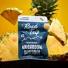 Desert Stardust Pineapple Gummies